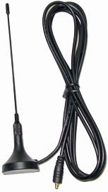 WPANT30037